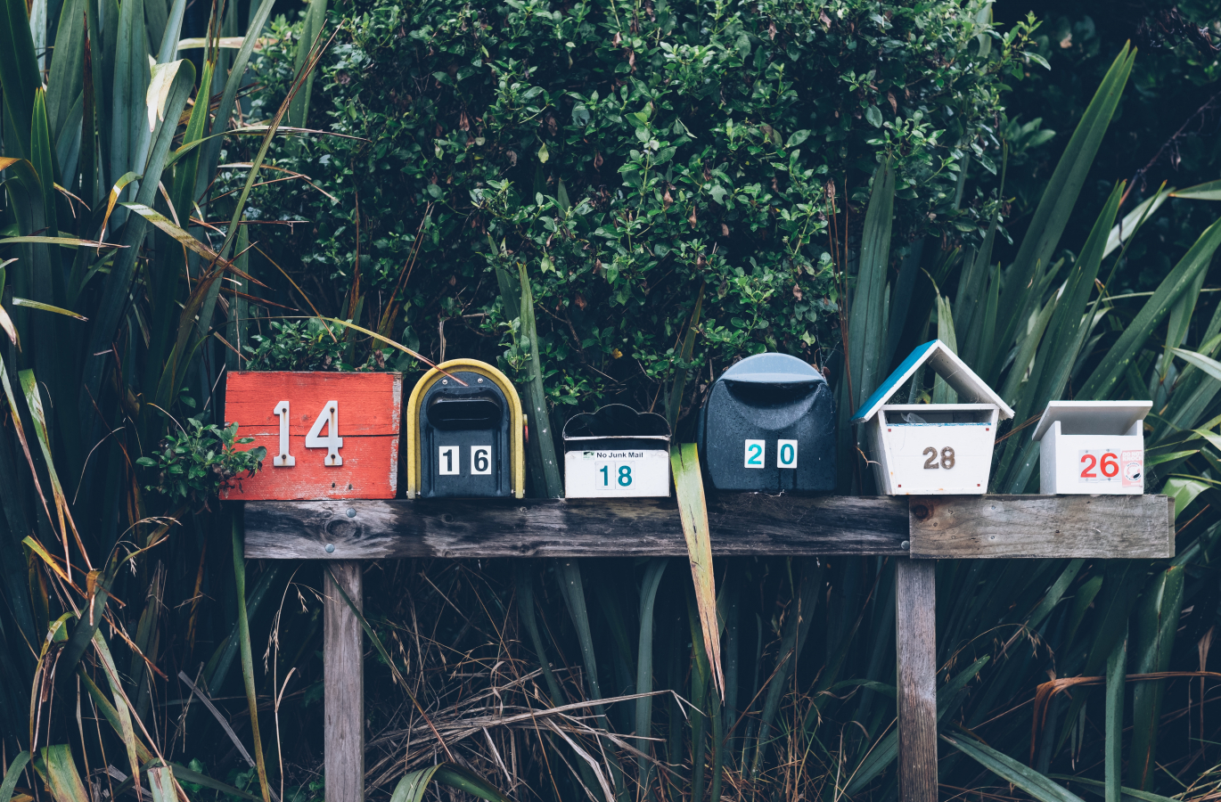email marketing campaign - digital agency leeds - parallax
