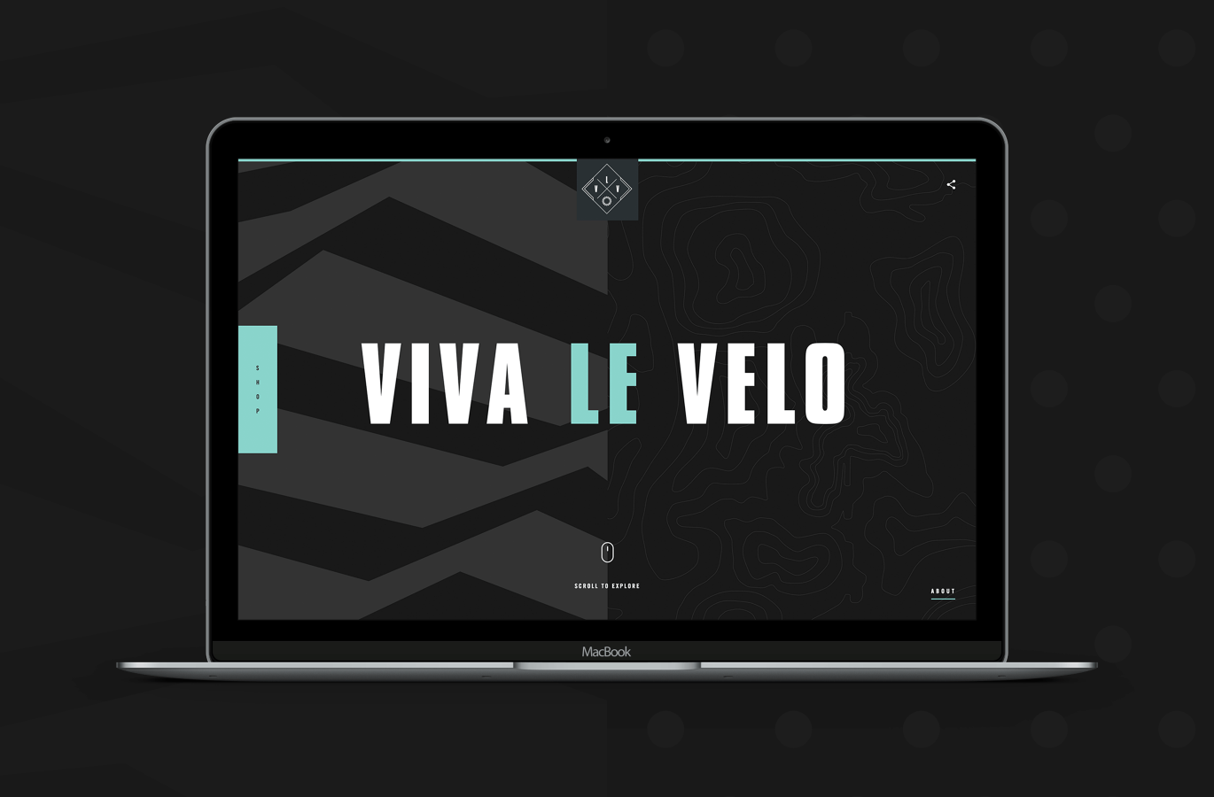 viva le velo homepage